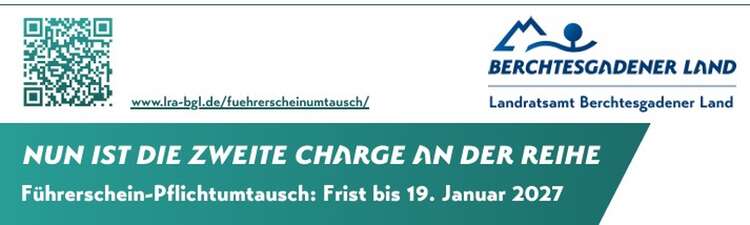 Logo Führerschein